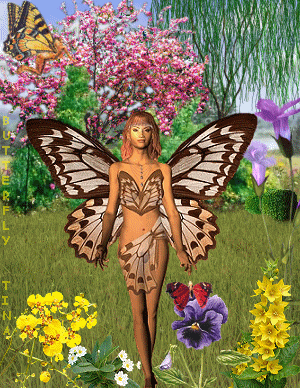 * Butterfly - Tina *
